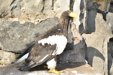 Similar image 22072270