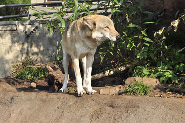 Similar image 22077019