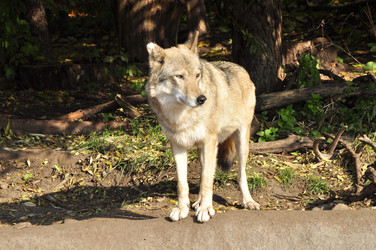 Similar image 22077020