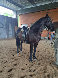 Similar image 22077021