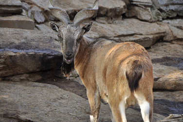 Similar image 22077022