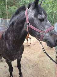 Similar image 22077024