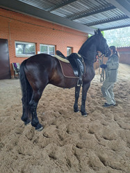 Similar image 22077025