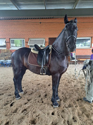 Similar image 22077026