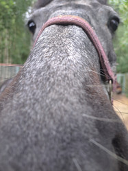 Similar image 22077028