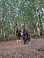 Similar image 22077029