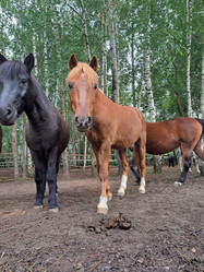 Similar image 22077030