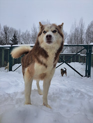 Similar image 22077031