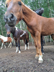 Similar image 22077032