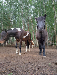 Similar image 22077033