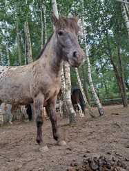 Similar image 22077034