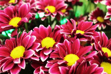 Similar image 22080822