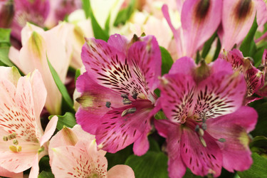 Similar image 22080824