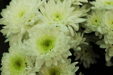 Similar image 22080825