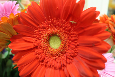 Similar image 22080977