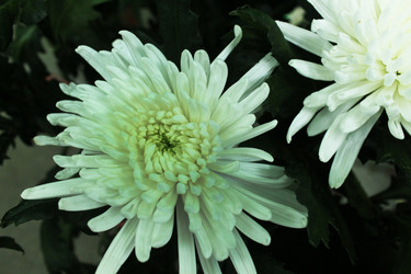 Similar image 22080827