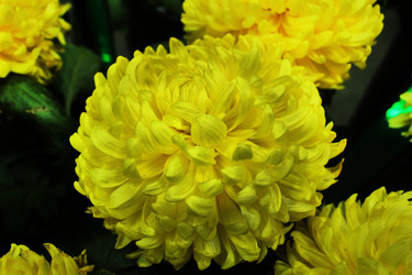 Similar image 22080830