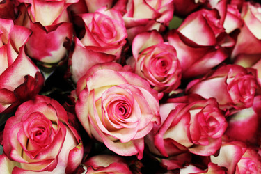 Similar image 22080831