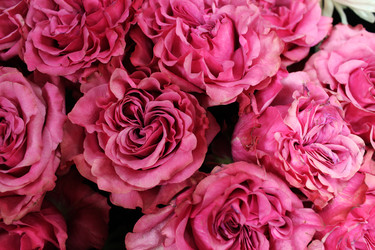 Similar image 22080832