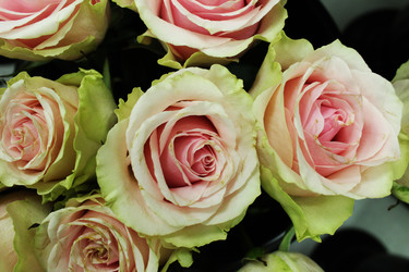 Similar image 22080833