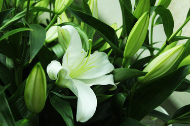 Similar image 22080834