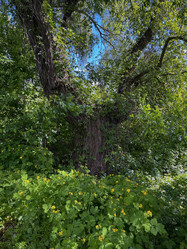 Similar image 22073777