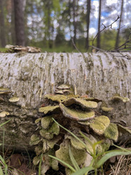 Similar image 22073785