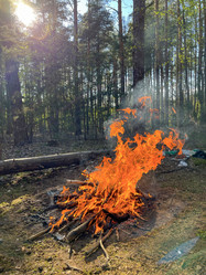 Similar image 22073787