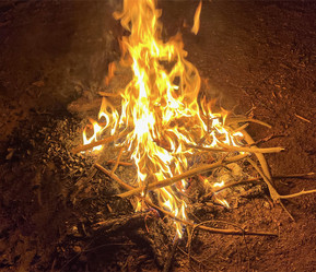 Similar image 22073792