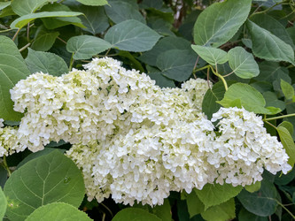 Similar image 22070183