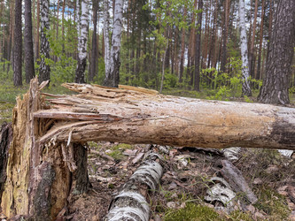 Similar image 22070282