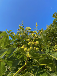 Similar image 22070302