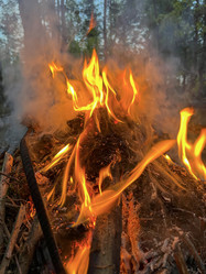 Similar image 22071218