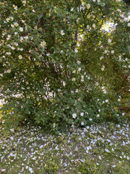 Similar image 22071221