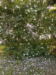 Similar image 22071223