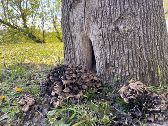 Similar image 22071225