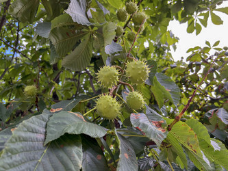 Similar image 22071230