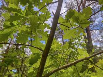 Similar image 22071232