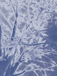 Similar image 22071234