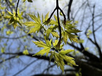 Similar image 22071237