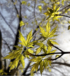 Similar image 22071452