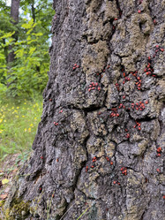 Similar image 22072276