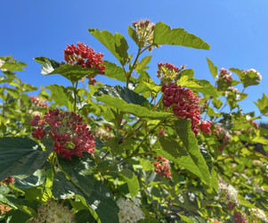 Similar image 22072281