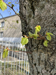 Similar image 22072286