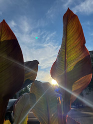 Similar image 22072287