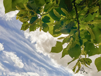 Similar image 22072499