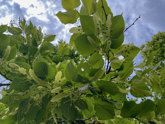 Similar image 22072501