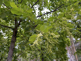 Similar image 22072503