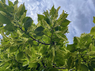 Similar image 22072505