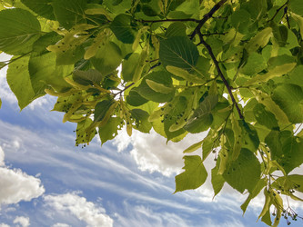 Similar image 22072507